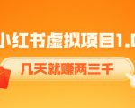 《小红书虚拟项目1.0》账号注册+养号+视频制作+引流+变现，几天就赚两三千-优品网赚资源库