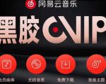 网易云音乐撸黑胶年卡及变现方法，收益可无限放大-优品网赚资源库