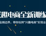 兴趣电商全新训练营：打破品销边界，带你玩转“兴趣电商“实现业务增长-优品网赚资源库