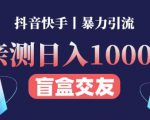 日收益1000+的交友盲盒副业丨有手就行的抖音快手暴力引流-优品网赚资源库