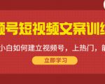 视频号短视频文案训练营：0基础小白如何建立视频号，上热门，能卖货！-优品网赚资源库