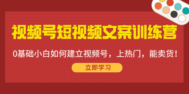 视频号短视频文案训练营：0基础小白如何建立视频号，上热门，能卖货！-优品网赚资源库