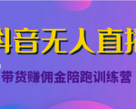 抖音无人直播带货赚佣金陪跑训练营(价值6980元)-优品网赚资源库