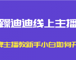 暴躁迪迪线上主播课，金牌主播教新手小白如何开播-优品网赚资源库