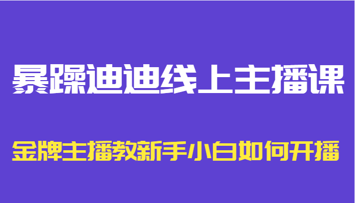 暴躁迪迪线上主播课,金牌主播教新手小白如何开播-优品网赚资源库