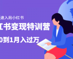 小红书变现特训营：带你快速入局小红书，从0到1月入过万-优品网赚资源库
