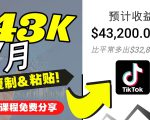 2022抖音国际版Tiktok赚钱项目:每天上传一个视频就轻松月入$43200-优品网赚资源库