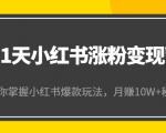 21天小红书涨粉变现营（第4期）：带你掌握小红书爆款玩法，月赚10W+秘密-优品网赚资源库