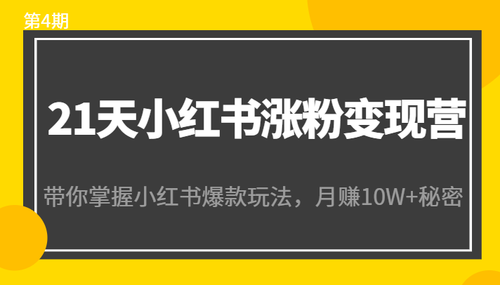 21天小红书涨粉变现营（第4期）：带你掌握小红书爆款玩法，月赚10W+秘密-优品网赚资源库