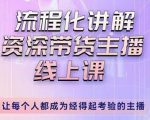 婉婉-主播拉新实操课,流程化讲解资深带货主播,让每个人都成为经得起考验的主播-优品网赚资源库