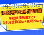 21天视频号变现特训营：单视频播放量2亿+3个月涨粉30w+变现20w+（第14期）-优品网赚资源库