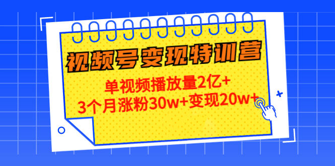 21天视频号变现特训营:单视频播放量2亿+3个月涨粉30w+变现20w+(第14期)-优品网赚资源库
