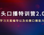 镜头口播特训营2.0版,学习文案编导以及拍摄口播能力(50节课时)-优品网赚资源库