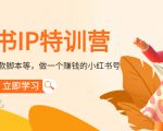 小红书IP特训营:从搭建-制作-爆款脚本等等,做一个赚钱的小红书号-优品网赚资源库