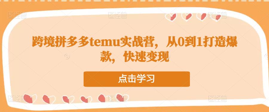 跨境拼多多temu实战营，从0到1打造爆款，快速变现-优品网赚资源库