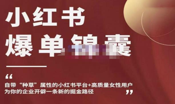 小红书爆单锦囊，自带种草属性+高质量女性用户，为你的企业开辟一条新的掘金路径-优品网赚资源库