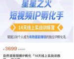 瑶瑶·自然流短视频IP孵化第二期,14天线上实战训练营,赋能100个人成为有数据能赚钱的独立IP孵化手-优品网赚资源库