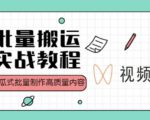 视频号批量搬运实战操作运营赚钱教程,傻瓜式批量制作高质量内容【附视频教程+PPT】-优品网赚资源库