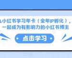 厦九九小红书学习年卡（全年IP孵化），沉浸式学习，一起成为有影响力的小红书博主-优品网赚资源库