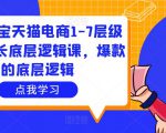 大圣淘宝天猫电商1-7层级盈利增长底层逻辑课，爆款的底层逻辑-优品网赚资源库