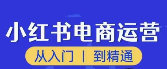 顽石小红书电商高阶运营课程，从入门到精通，玩法流程持续更新-优品网赚资源库