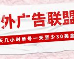 外面收费1980的最新国外LEAD广告联盟搬砖项目，单号一天至少30美金【详细玩法教程】-优品网赚资源库