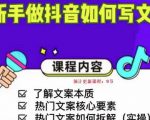 新手做抖音如何写文案，手把手实操如何拆解热门文案-优品网赚资源库