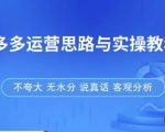 拼多多店铺运营思路与实操教程,快速学会拼多多开店和运营,少踩坑,多盈利-优品网赚资源库