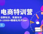 美团电商特训营：美团·店群玩法，无脑铺货月产出6000-15000+精细化月产2w+-优品网赚资源库