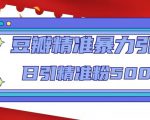 豆瓣精准暴力引流,日引精准粉500+【12课时】-优品网赚资源库