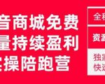 抖音商城搜索持续盈利陪跑成长营,抖音商城搜索从0-1、从1到10的全面解决方案-优品网赚资源库