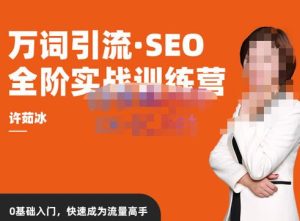 许茹冰·万词引流-SEO全阶实战训练营，0基础入门，快速成为流量高手-优品网赚资源库