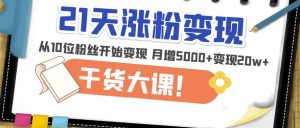 21天精准涨粉变现干货大课：从10位粉丝开始变现月增5000+变现20w+-优品网赚资源库
