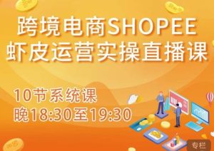 跨境电商Shopee虾皮运营实操直播课，从零开始学，入门到精通（10节系统课）-优品网赚资源库