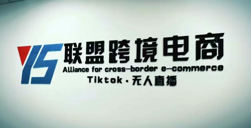 YS联盟·Tiktok无人直播，不出镜不剪辑不拍摄不发货无售后的跨境短视频躺赚玩法-优品网赚资源库