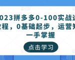 2023拼多多0-100实战运营教程，0基础起步，运营知识一手掌握-优品网赚资源库