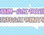 一写就爆-小红书文案课：带你玩转小红收爆文写作（45节课）-优品网赚资源库