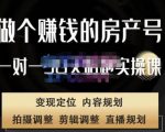刘广标·同城房产号线上陪跑课,拍摄、剪辑、写文案、直播,做一个具有潜力价值的房产号-优品网赚资源库