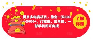 2023拼多多电商项目，稳定一天300～3000+，门槛低，出单快，一部手机即可完成-优品网赚资源库