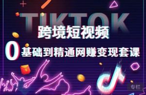 跨境短视频TIKTOK 0基础到精通网赚变现套课,跨境短视频独立站带货变现技巧-优品网赚资源库