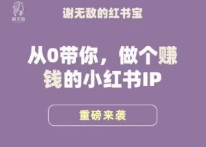 谢无敌·小红书运营大宝典，从0带你做个赚钱的小红书IP-优品网赚资源库