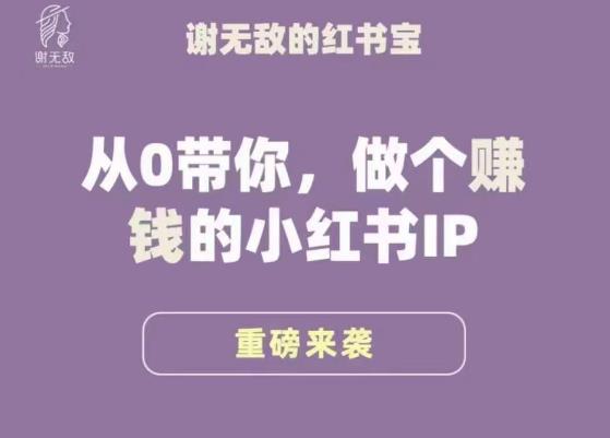 谢无敌·小红书运营大宝典，从0带你做个赚钱的小红书IP-优品网赚资源库