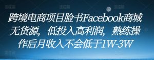 跨境电商项目脸书Facebook商城无货源，低投入高利润，熟练操作后月收入不会低于1W-3W-优品网赚资源库