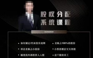 韩老师聊美业-美业股权分配系统课程,如何制定约束股东规则+老板占100%的股份+单店老板占小股份等-优品网赚资源库