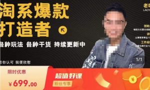 锋投老叶全店动销，淘系干货汇总，各种玩法，淘系爆款打造者-优品网赚资源库