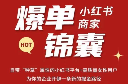 无畏·小红书商家爆单锦囊,掌握小红书各大规则,快速精准抢占行业和市场-优品网赚资源库