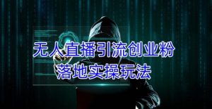 外面收费3980的无人直播引流创业粉落地实操玩法，单日引100+精准创业粉-优品网赚资源库