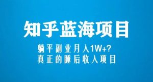 知乎蓝海玩法,躺平副业月入1W+,真正的睡后收入项目(6节视频课)-优品网赚资源库