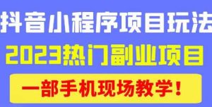 抖音小程序9.0新技巧，2023热门副业项目，动动手指轻松变现-优品网赚资源库