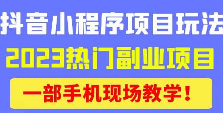 抖音小程序9.0新技巧，2023热门副业项目，动动手指轻松变现-优品网赚资源库